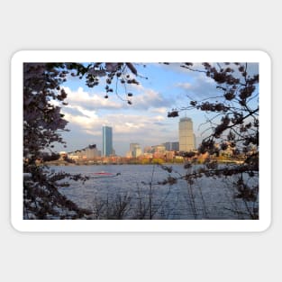 Springtime in Boston on the Charles RIver Sticker